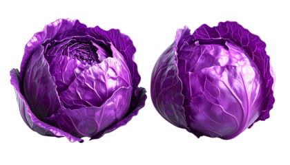 Twin variations of organic purple cabbage isolated on transparent background
