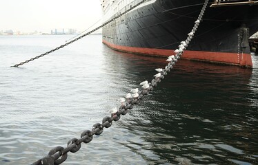"A seabird resting on a mooring chain that secures a large ship docked in the harbor