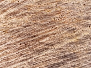 Fototapeta premium Wood texture for background, classic abstract wood surface, natural wood pattern.