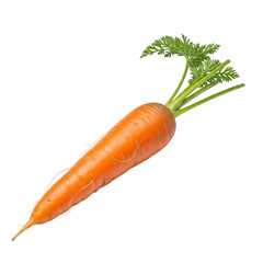 Orange Carrot with Green Tops isolated on a transparent background
