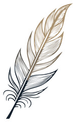 Obraz premium Elegant Hand Drawn Feather Illustration in Boho Chic Sketch Style with Dual Colors