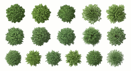 Top Down View Trees Bushes Collection - Realistic Landscape Architecture Elements