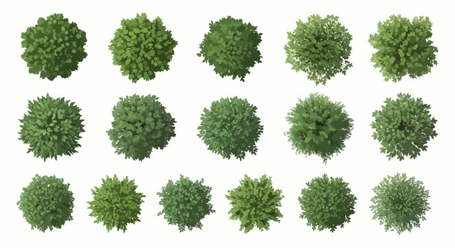 Top Down View Trees Bushes Collection - Realistic Landscape Architecture Elements