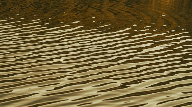 Golden water surface ripples create tranquil abstract pattern