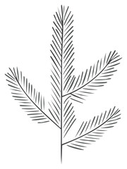 Naklejka premium Elegant Drawn Spruce Branch Design Element with Sharp Details on White Background for Winter Christmas Holiday Themes
