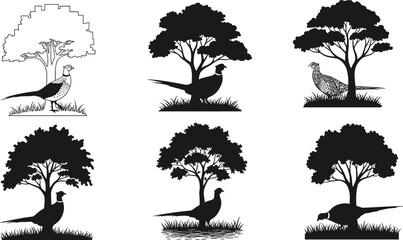 Collection of pheasant bird silhouettes under trees, wildlife vector illustration set, nature inspired black design, forest and grass landscape artwork for decoration and print