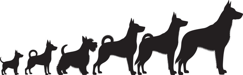 Dog growth silhouette, puppy to adult, black vector profile, canine development stages, pet evolution, animal size chart, isolated white background, educational, cute