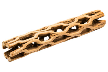 Dried cholla cactus wood skeleton with a natural pattern on a transparent background