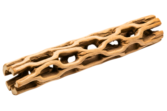 Dried cholla cactus wood skeleton with a natural pattern on a transparent background