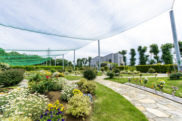 Obraz premium Beautiful Japanese cemeteries where flowers bloom - 108