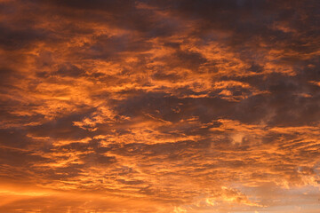 Obraz premium 夕焼けの空