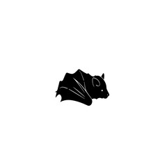 Silhouette of a Bat on White Background.