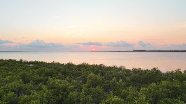4K Aerial Drone View of Mangrove Forest and Sunset at Cox&rsquo;s Bazar Sea Beach, Bangladesh &ndash; Coastal Beauty and Nature Conservation
