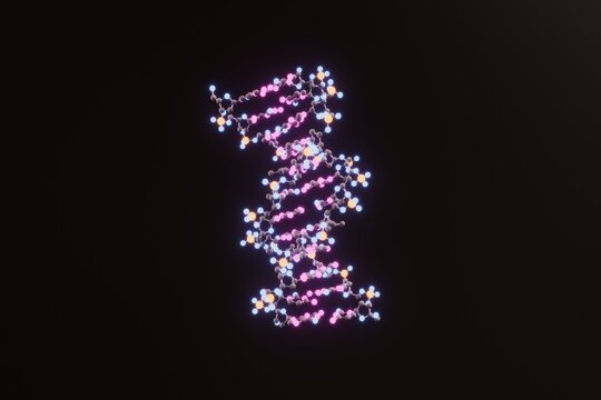 3D molecular visualization of the DNA double helix, created using Protein Data Bank data (PDB ID: 1BNA), and rendered with Blender, based on Drew, H.R. et al., Proc Natl Acad Sci U S A 78: 2179&ndash;2183.
