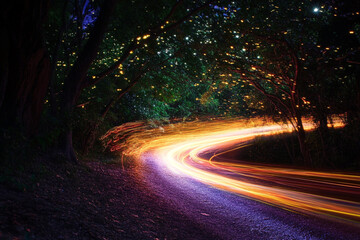 A time-lapse of fireflies moving through the night, creating glowing trails  