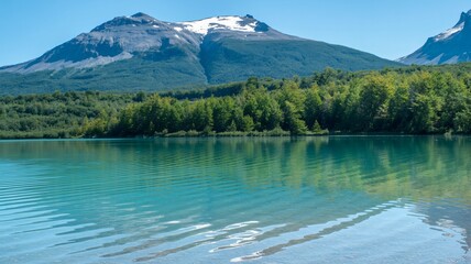 Turquoise lake reflects snow-capped mountain and lush green forest