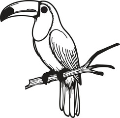 toucan bird sitting on a branch