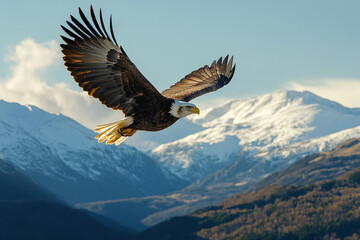 An eagle riding the thermal currents over vast mountain ridge, wings spread wide