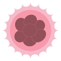 8 Cell Stage Early Embryonic Development