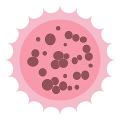 Morula 32 Cell Stage Compact Embryo Cell Cluster