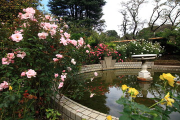 薔薇に囲まれた噴水