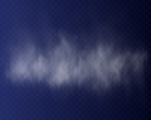 Realistic white smoke and mist cloud with soft transparent texture on dark background.
