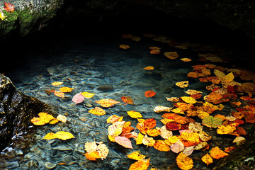 Autumn leaves drifting into an underground river, carried by the current