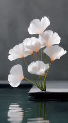 Delicate White Lotus Flowers With Orange Stems Emerging From Dark Water With Sunlight Reflections Against A Textured Gray Wall