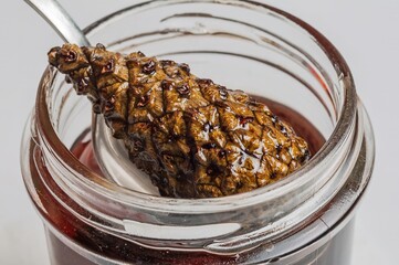 Pine cone in jar of syrup, a traditional remedy for coughs and colds