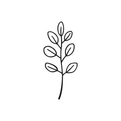 Obraz premium simple line art vector illustration of a botanical plant sprig.