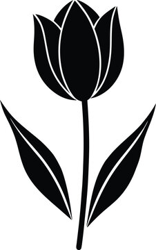 Fototapeta Black silhouette of a single tulip flower with leaves