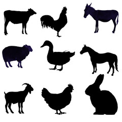 Silhouette of farm animals on white background.