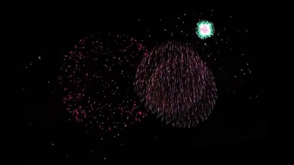 Animation colorful fireworks on black background.
- Powered by Adobe