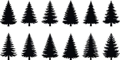 Fototapeta premium Collection of black pine tree silhouettes isolated on white background, evergreen forest icons, conifer trees vector set, minimal nature design