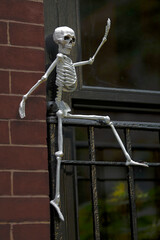 Halloween holiday paraphernalia and decorations for outdoor and backyard celebrations.