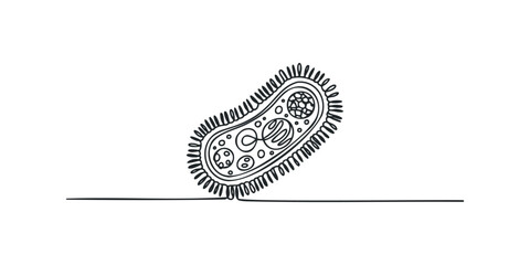Hand drawn single line art of a bacterium