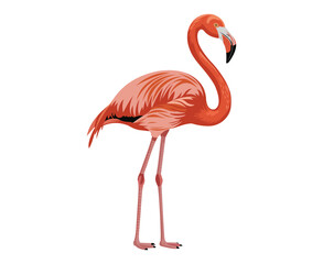 A vibrant illustration of a pink flamingo standing in profile view