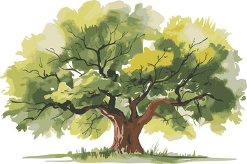 hand drawn watercolor tree illustration isolated green tree art natural landscape for digital design