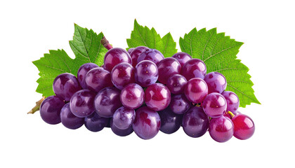 Fototapeta premium Luscious purple grapes with vibrant green leaves isolated on a transparent black background