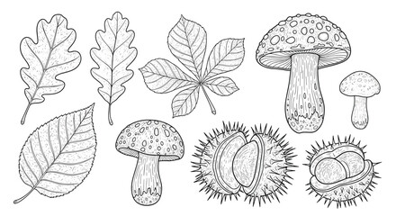 Hand-drawn black and white outline collection of autumn elements featuring diverse tree leaves, wild mushrooms, and spiky horse chestnut casings.