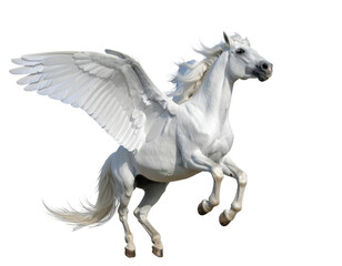Majestic White Pegasus With Wings in Flight Against a Transparent Background