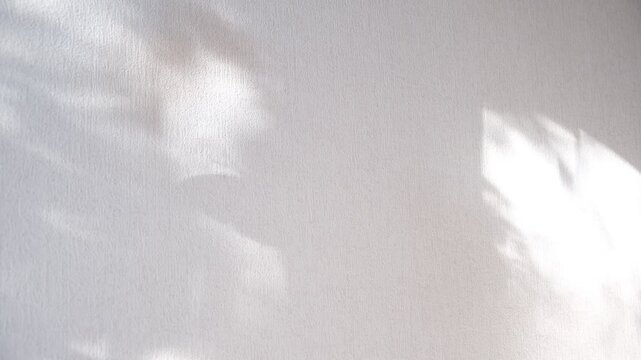 Moving shadows on ivory white textured wall with casting floral and butterfly shadows. Minimal vintage interior decoration concept. Autumn wabi sabi style aesthetics