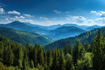 Obraz premium Panoramic view showcasing the expansive coniferous forest and rolling hills under a bright sky with scattered clouds