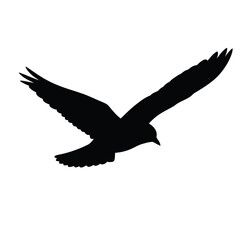 A flying bird silhouette vector illustration