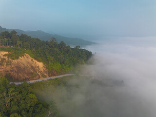 Aerial view of winding road through lush green mountains shrouded in morning mist, tropical rainforest landscape with fog, scenic nature background