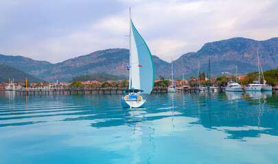 Fototapety na wymiar - Fototapeta24.pl