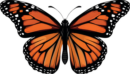 Elegant Butterfly with Orange and Black Wings