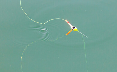 A fishing line with a hook attached to it
