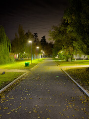 Obraz premium A path with a green trash can and a few trees