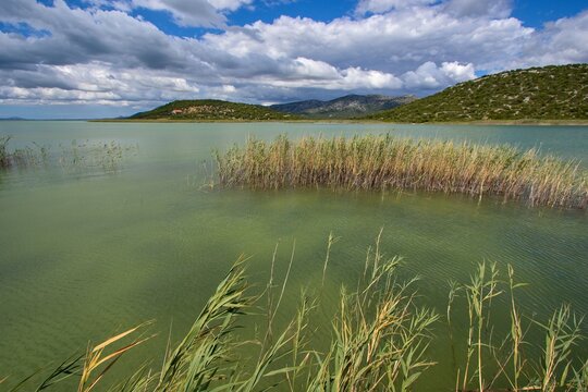 Vrana Lake (Vransko jezero) nature park wetland shore near Prosika (Pirovac), Zadar, Croatia